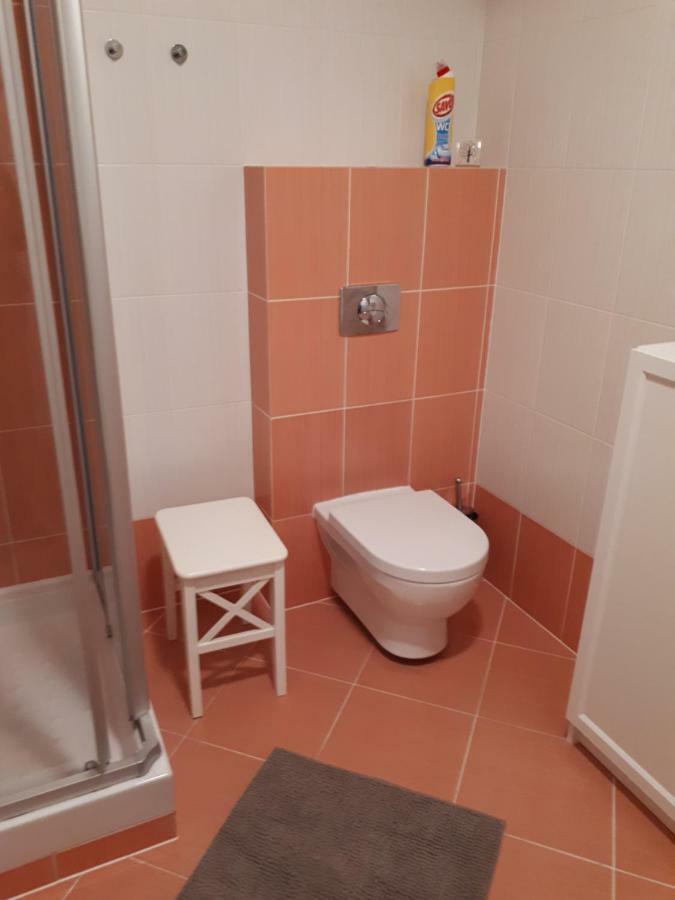 Hrabovo Alzbeta 16 Apartman Rózsahegy Kültér fotó